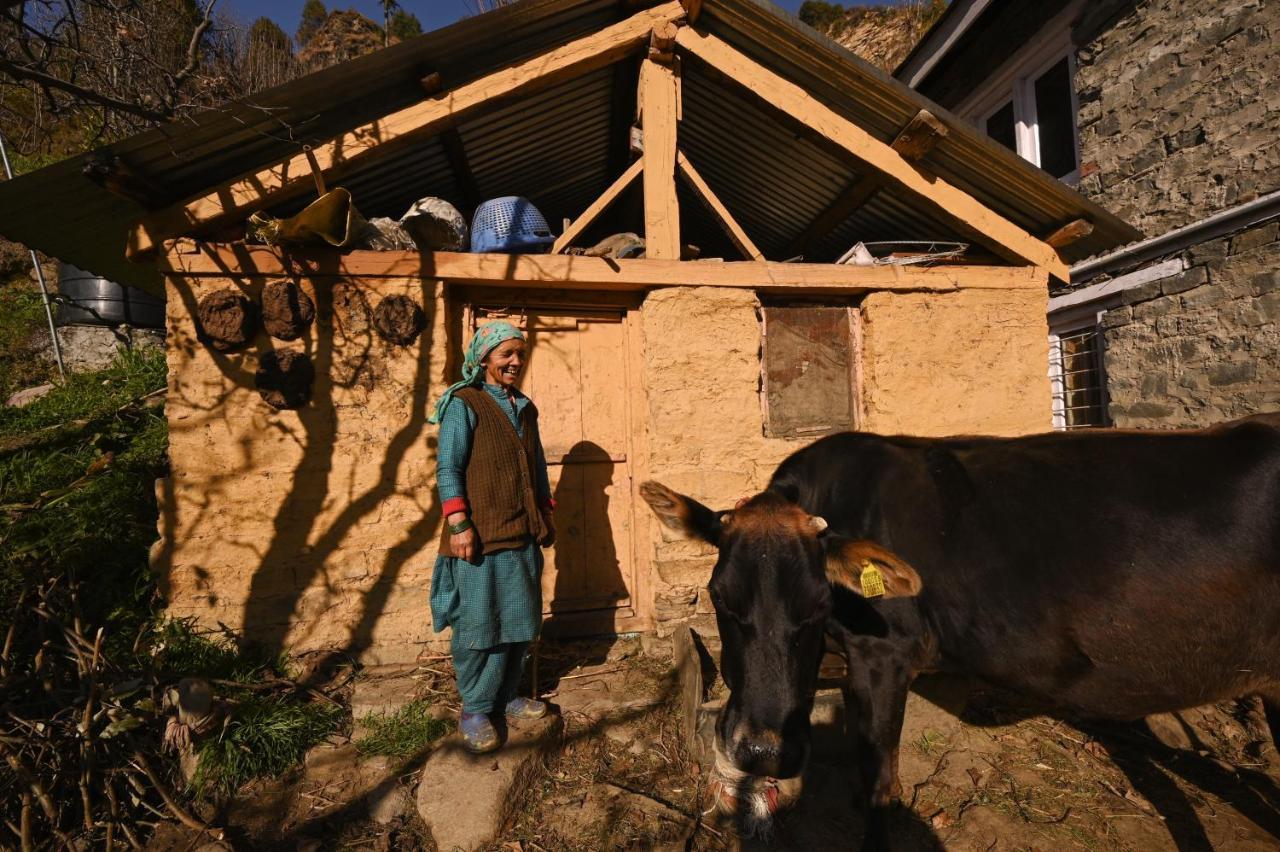 Хостел Zostel Dobhi, Manali Nagar  Екстер'єр фото