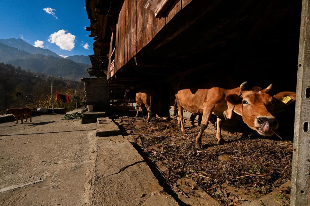 Хостел Zostel Dobhi, Manali Nagar  Екстер'єр фото