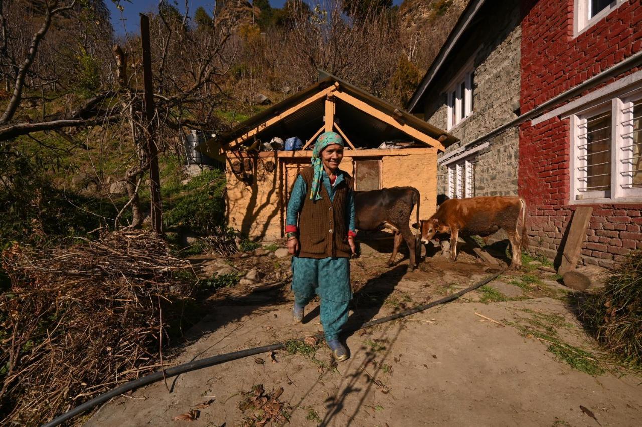 Хостел Zostel Dobhi, Manali Nagar  Екстер'єр фото