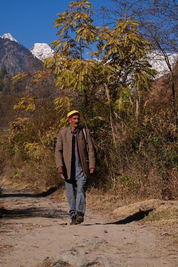 Хостел Zostel Dobhi, Manali Nagar  Екстер'єр фото